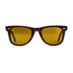 Polished Brown Sunglasses RBS 5674